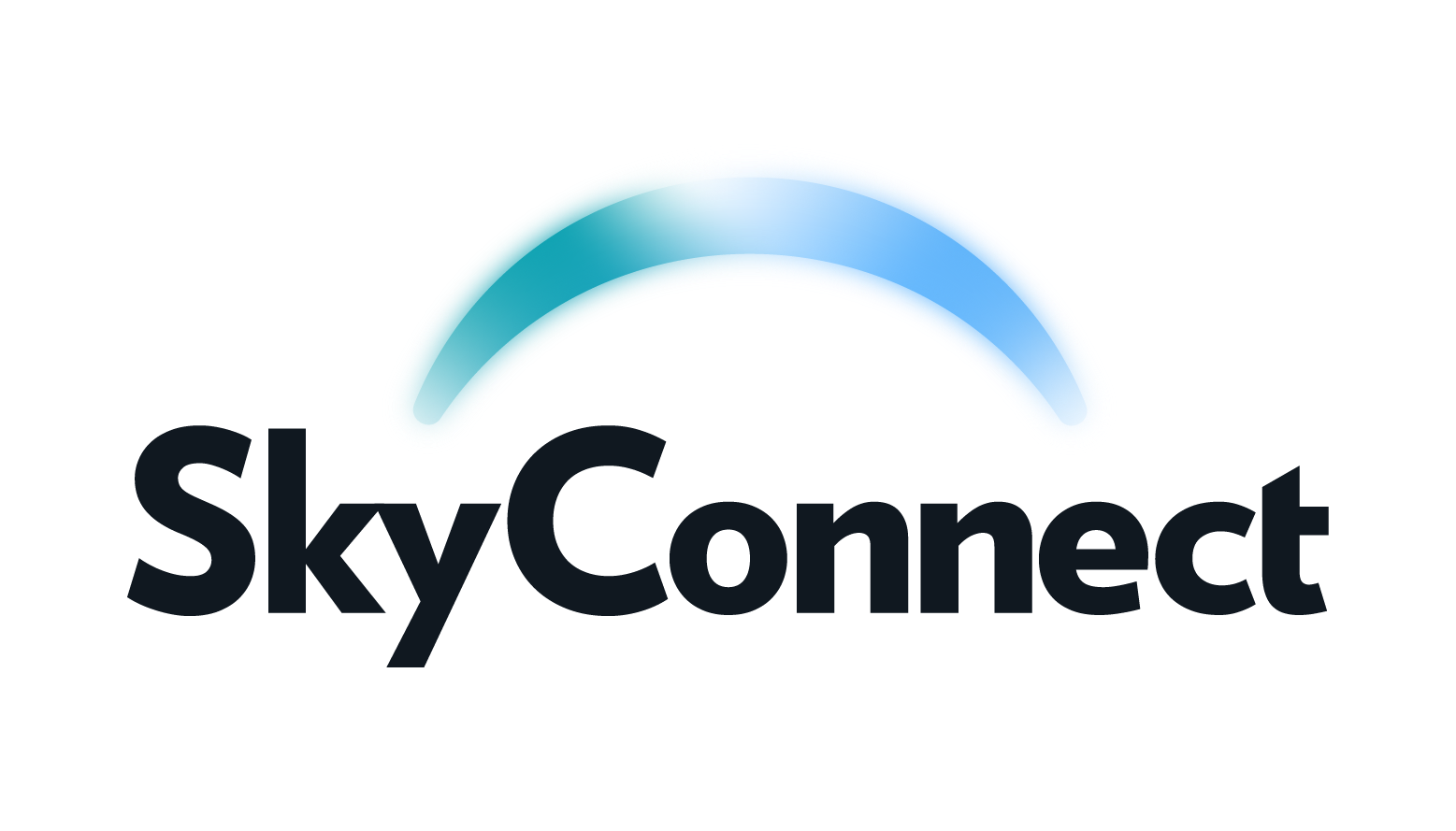 SkyConnect Pro Internet Logo