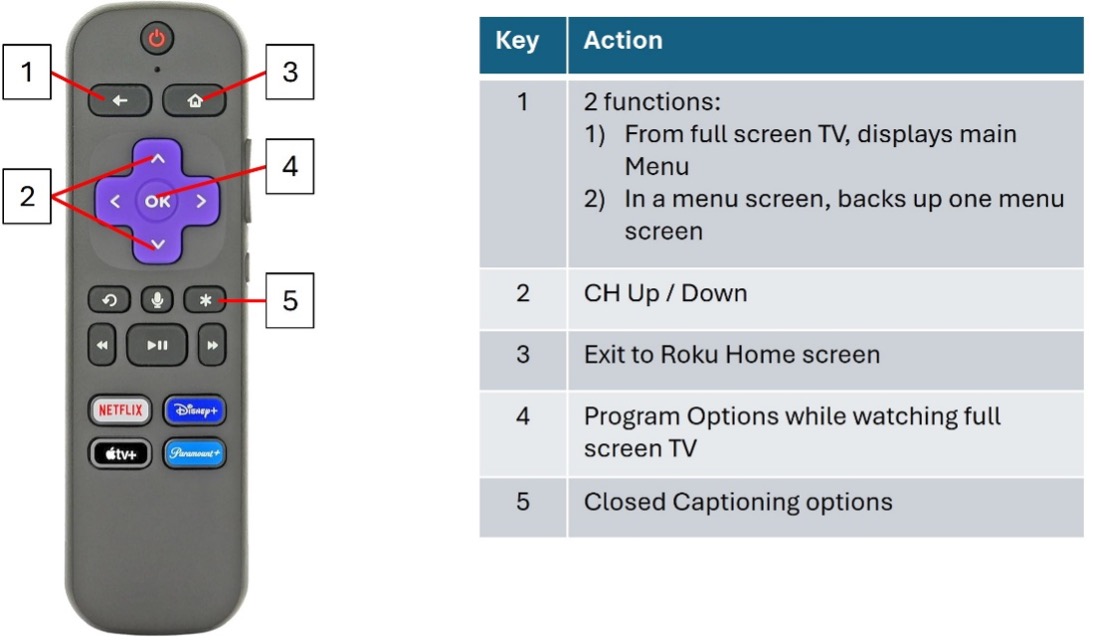 Roku remote control key functions diagram